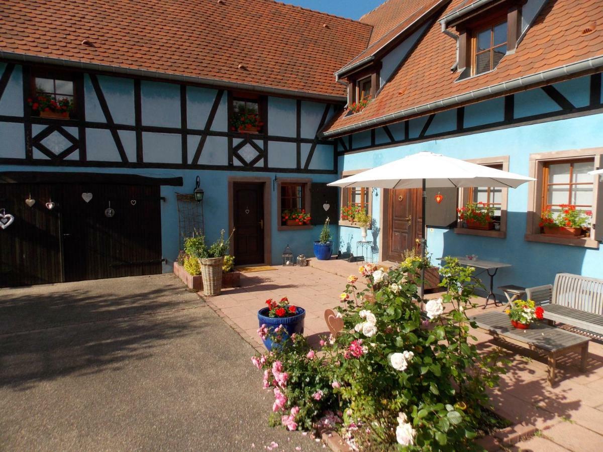 Ferienhaus Le Bleu Willgottheim